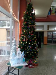 IMG_20171222_100552.jpg